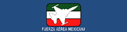 Mexico Air Force